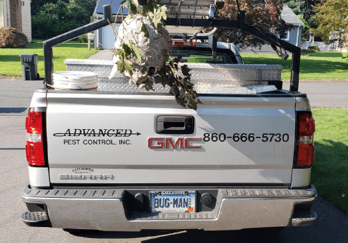 Pest Control in Wethersfield, CT | Advanced Pest Control, Inc.